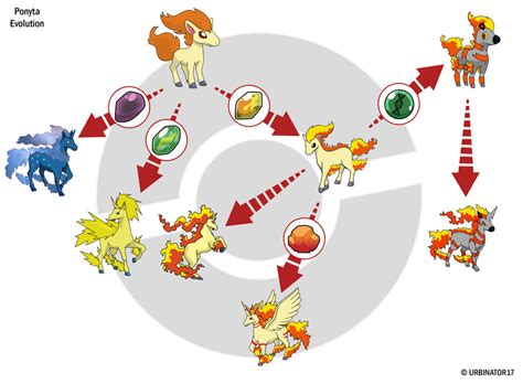 ponyta evolution.